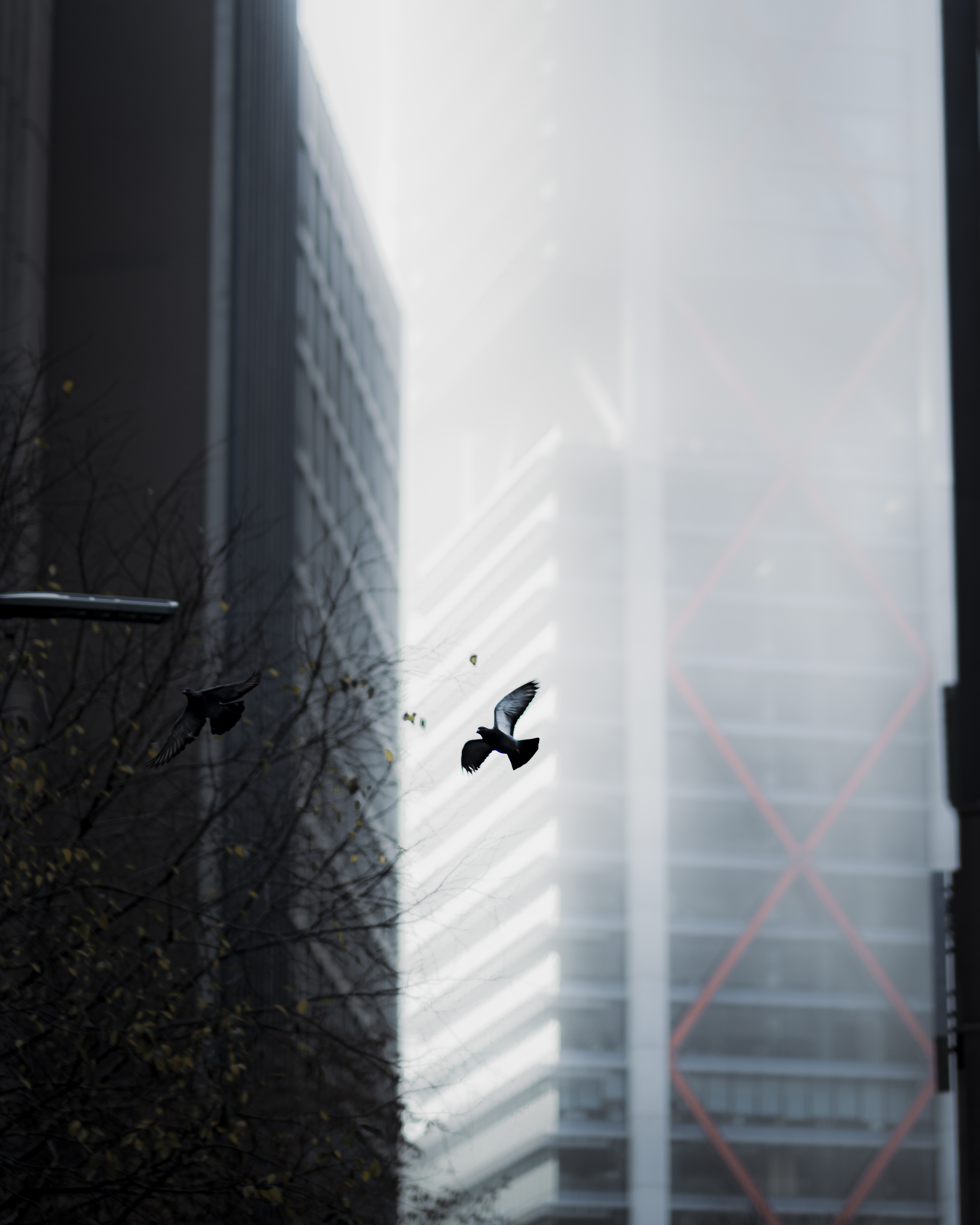 Take Flight