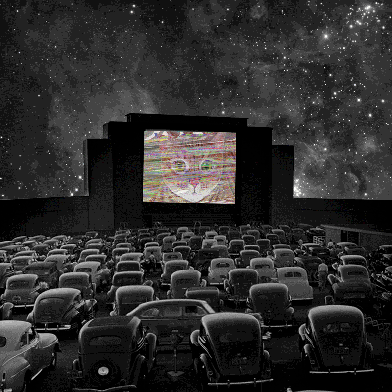 The Drive-In