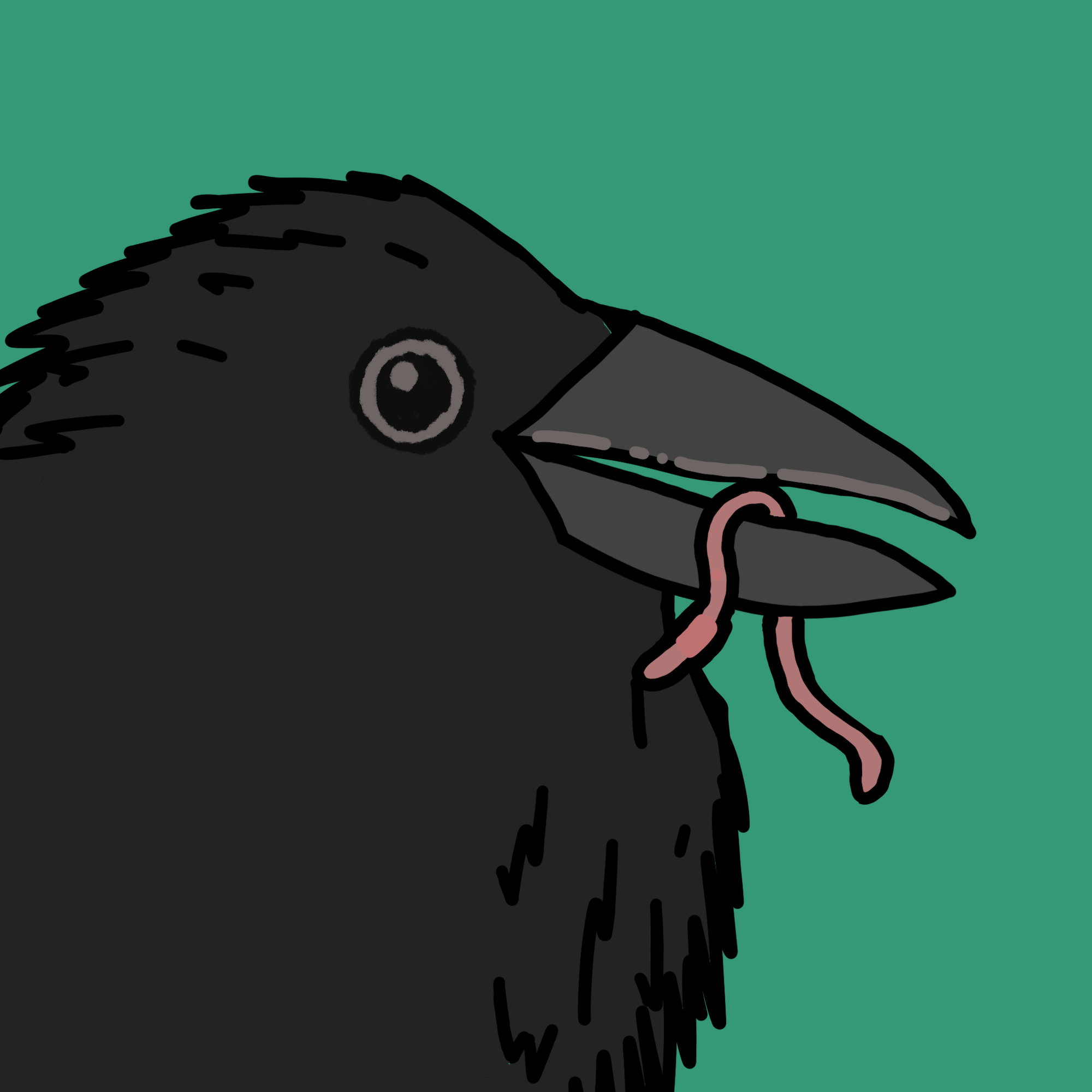Crow Friends #455