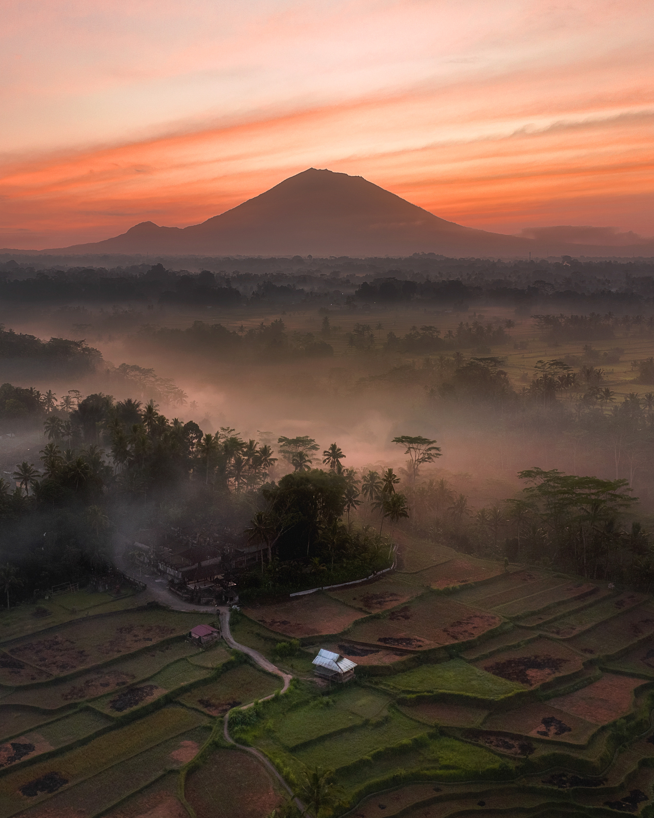 Before Sunrise