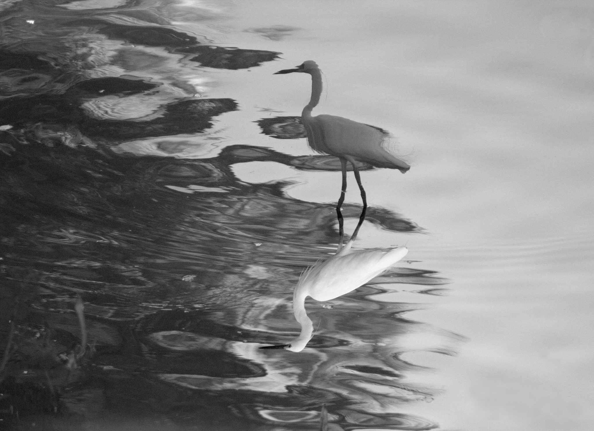 REFLECTION