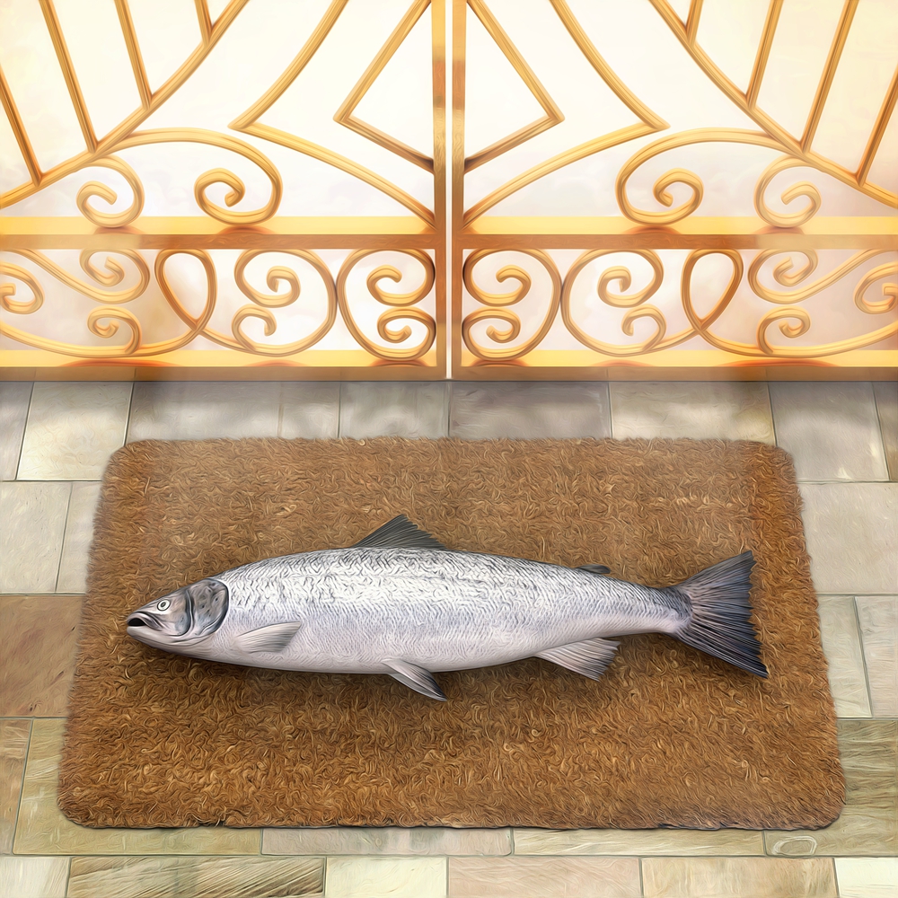 Animals - Fish