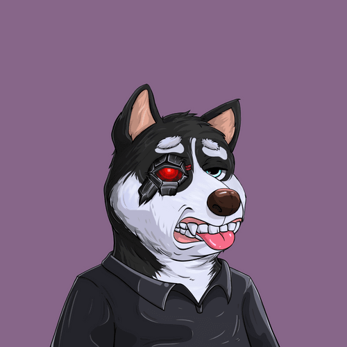 Shibe #464