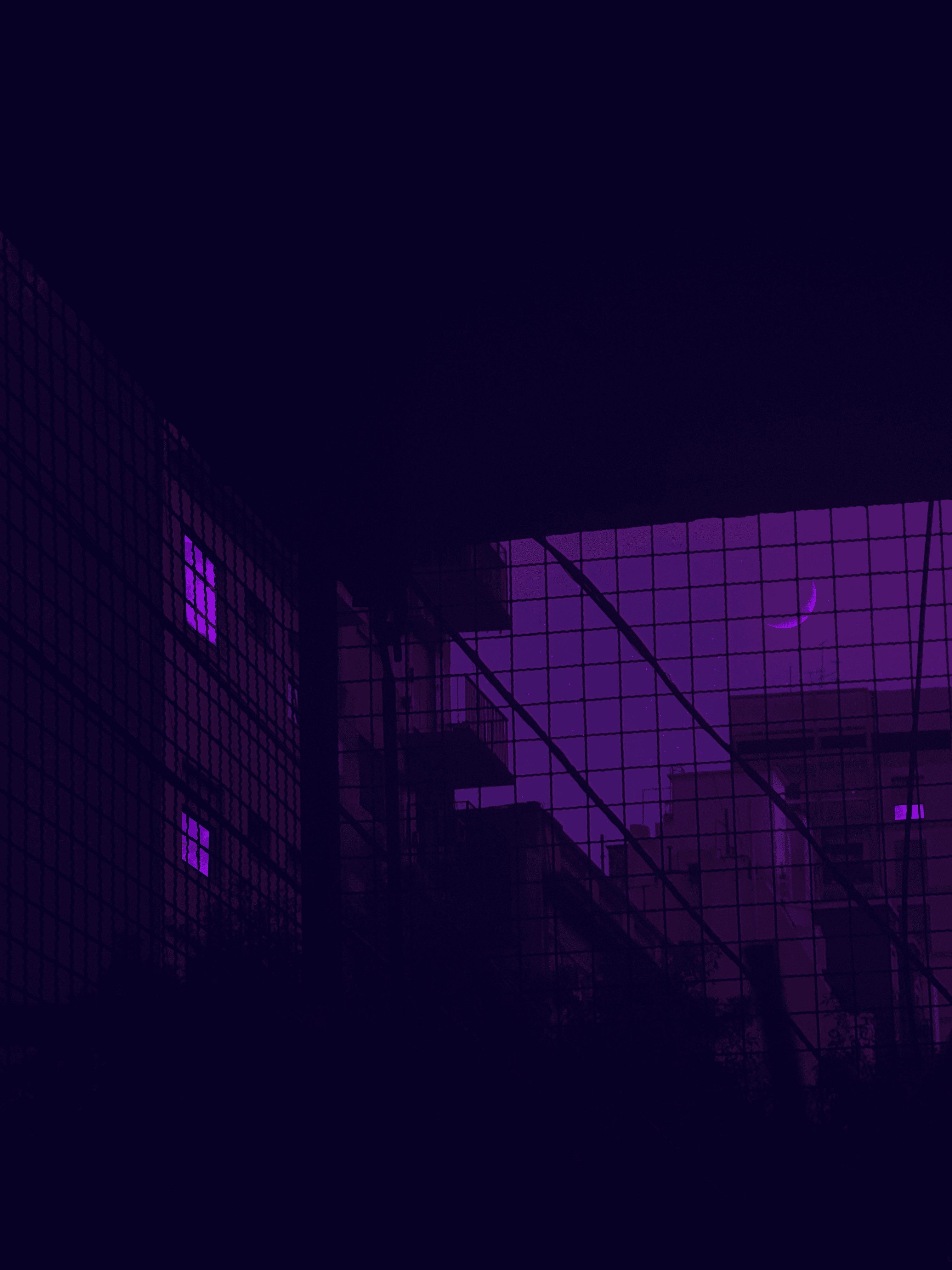 Pink & Purple World #14
