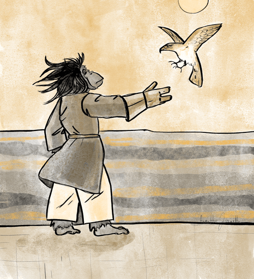 Falconer Ape