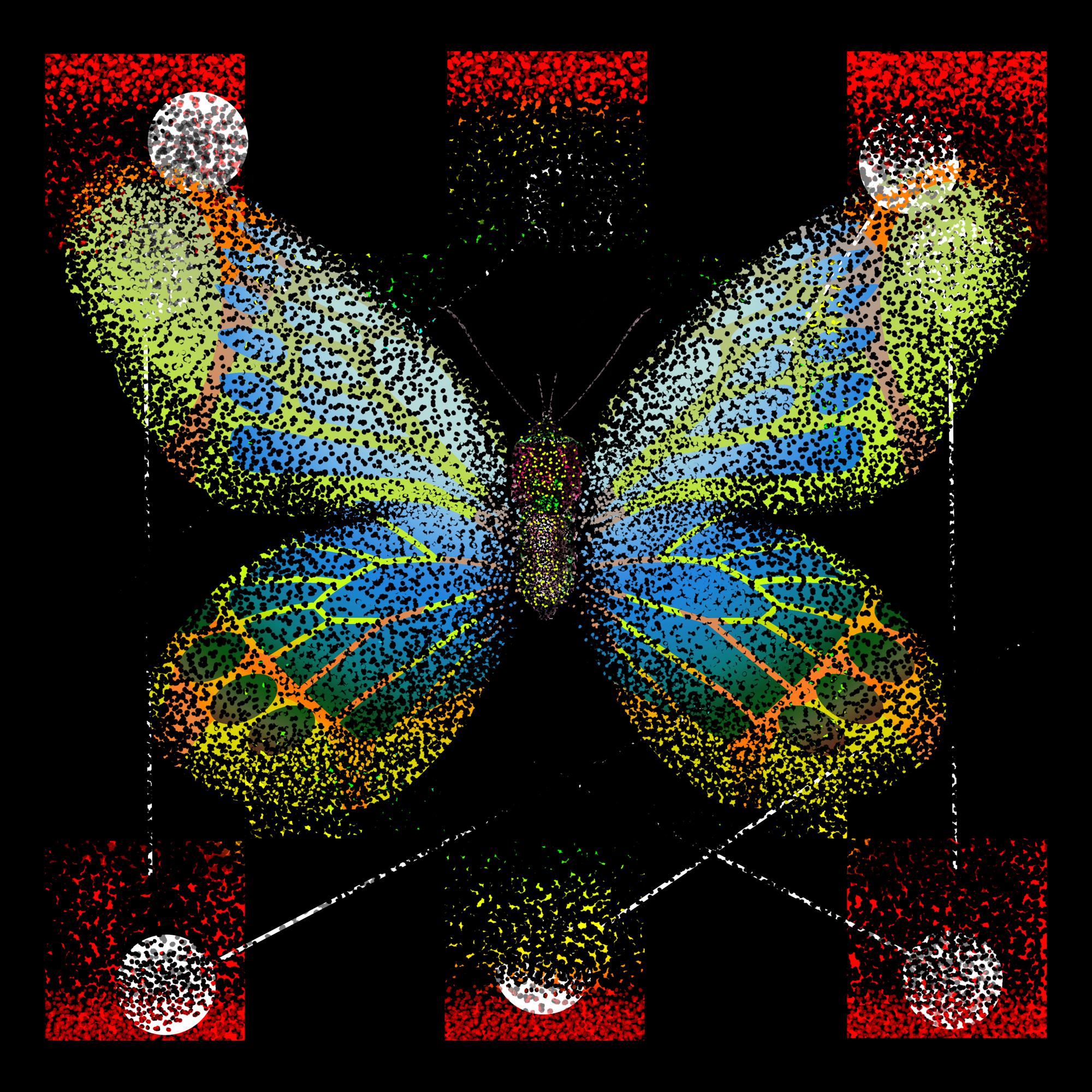 Monarch #89