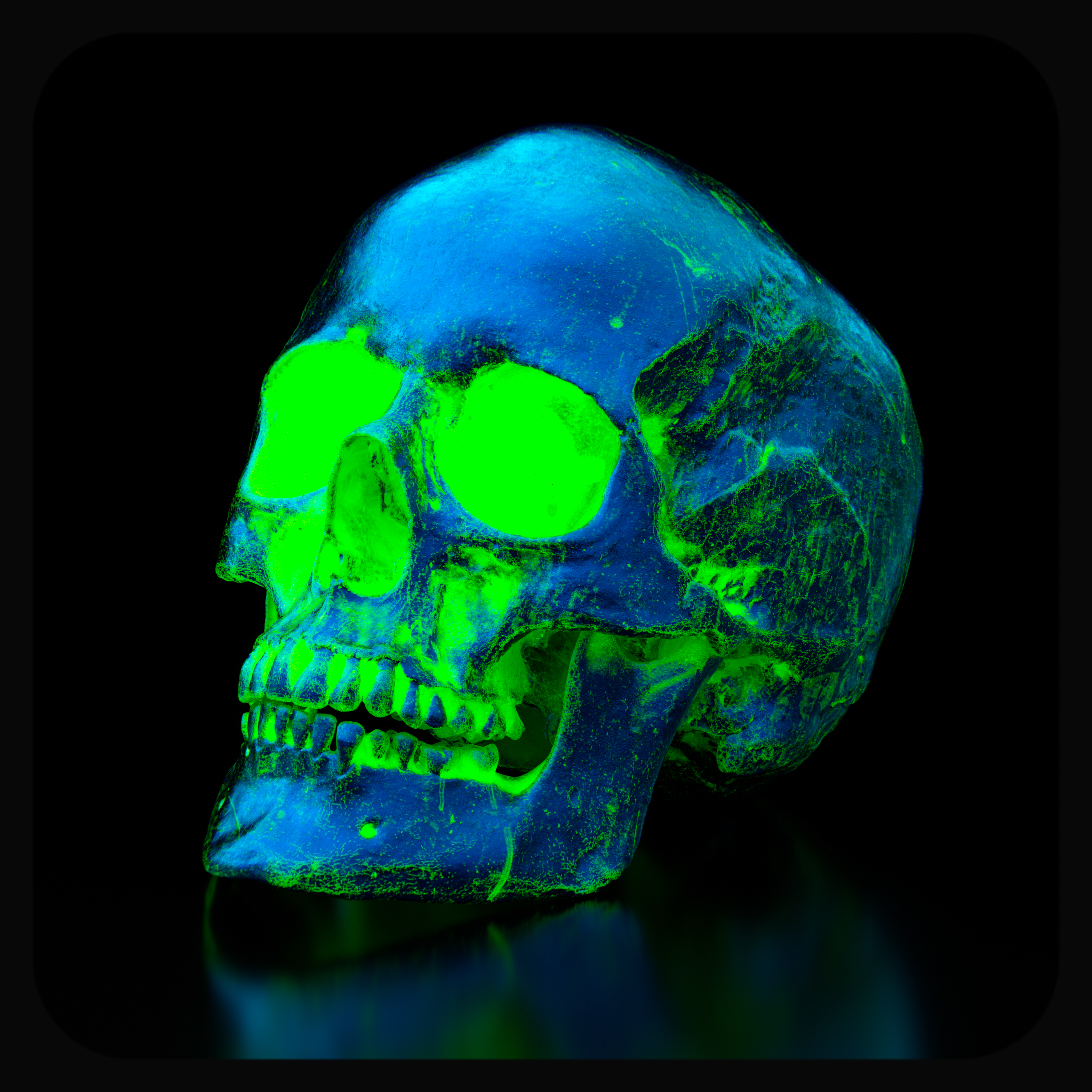 THE FIFTH SKULL