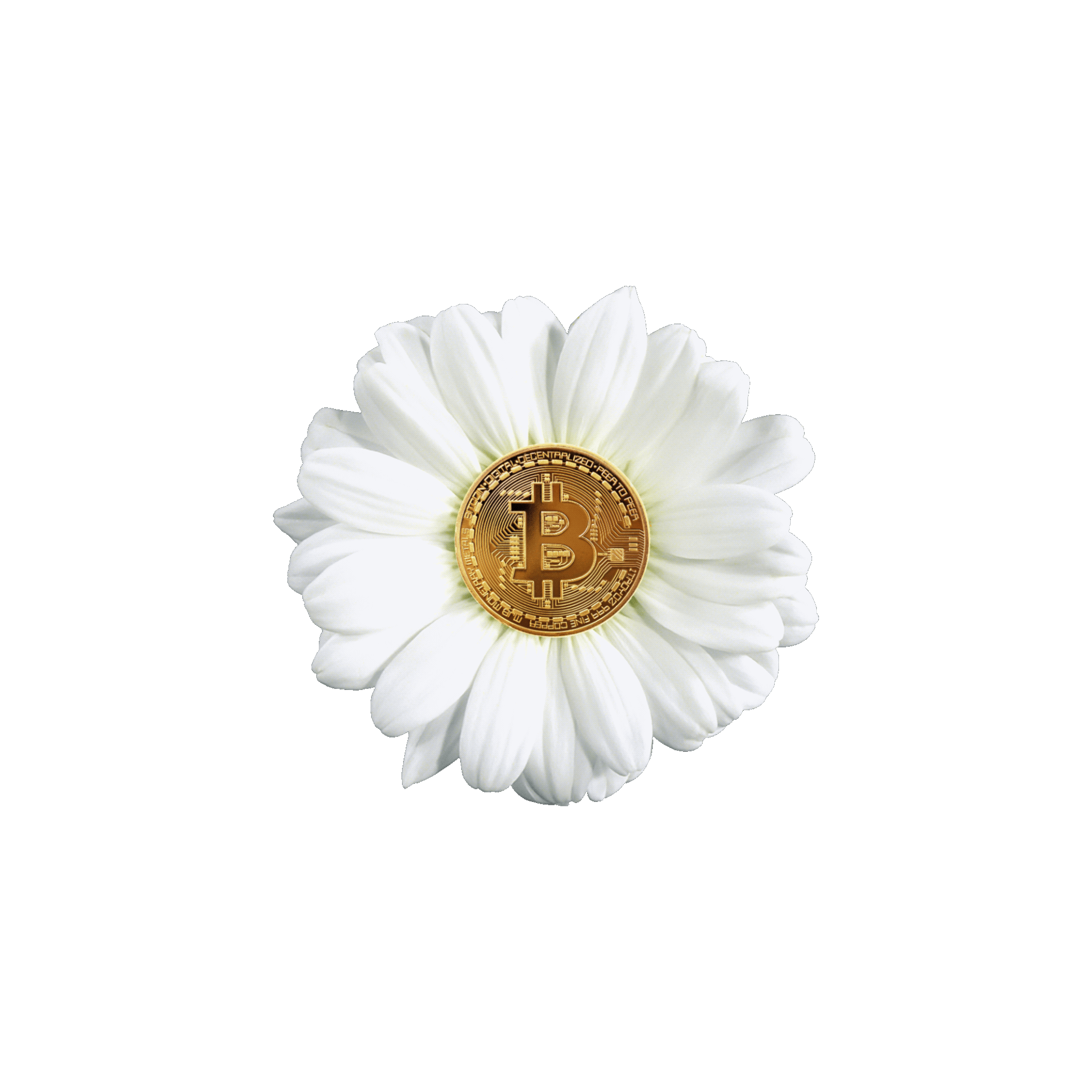 Bitcoin Flower 