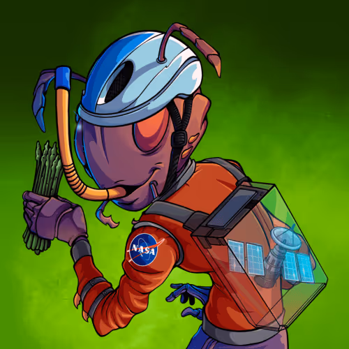 Ant #2581