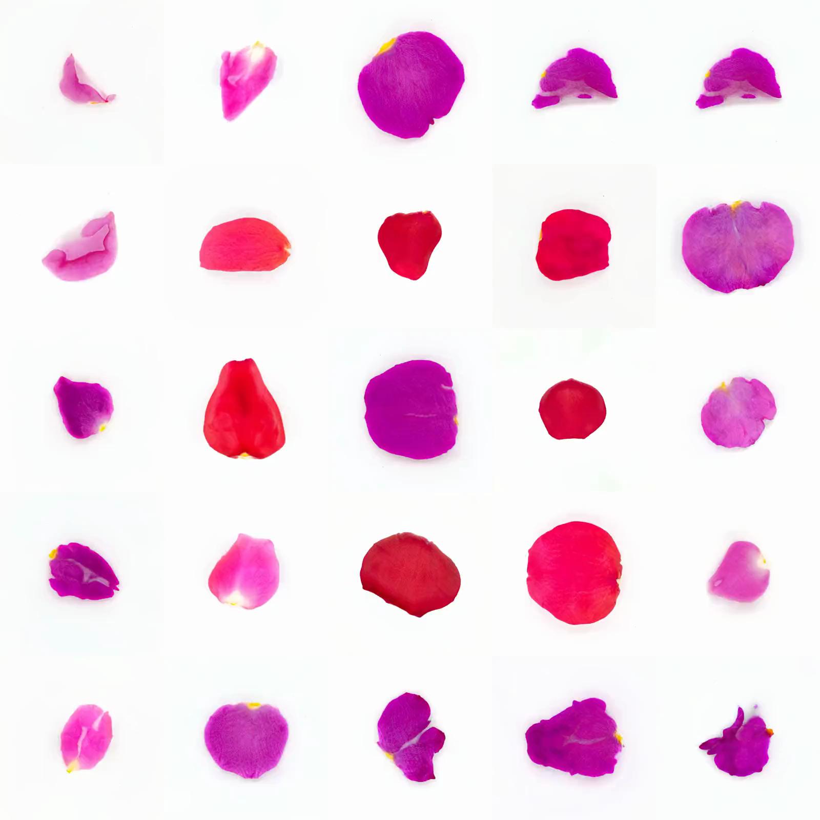 Infinite Petals 5x5#803