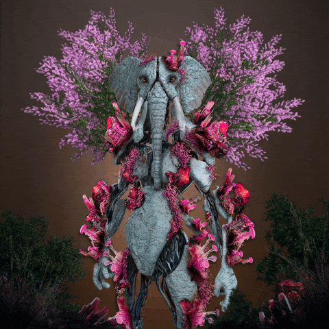 Elesapien #1347