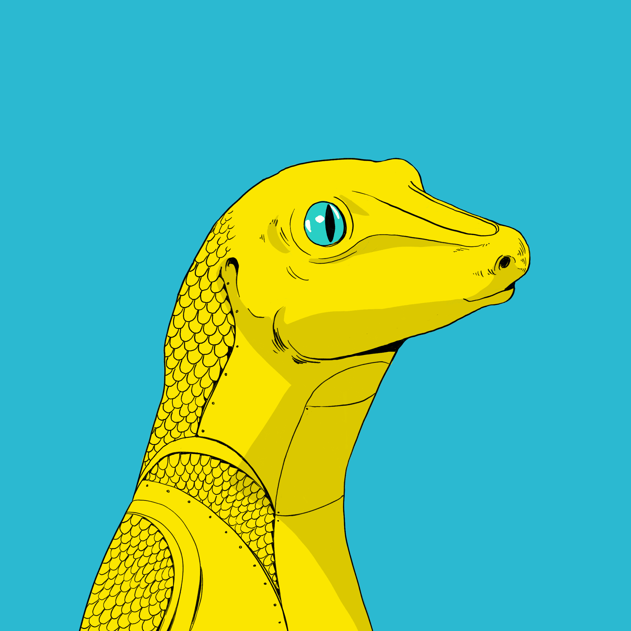 Lizard #2704