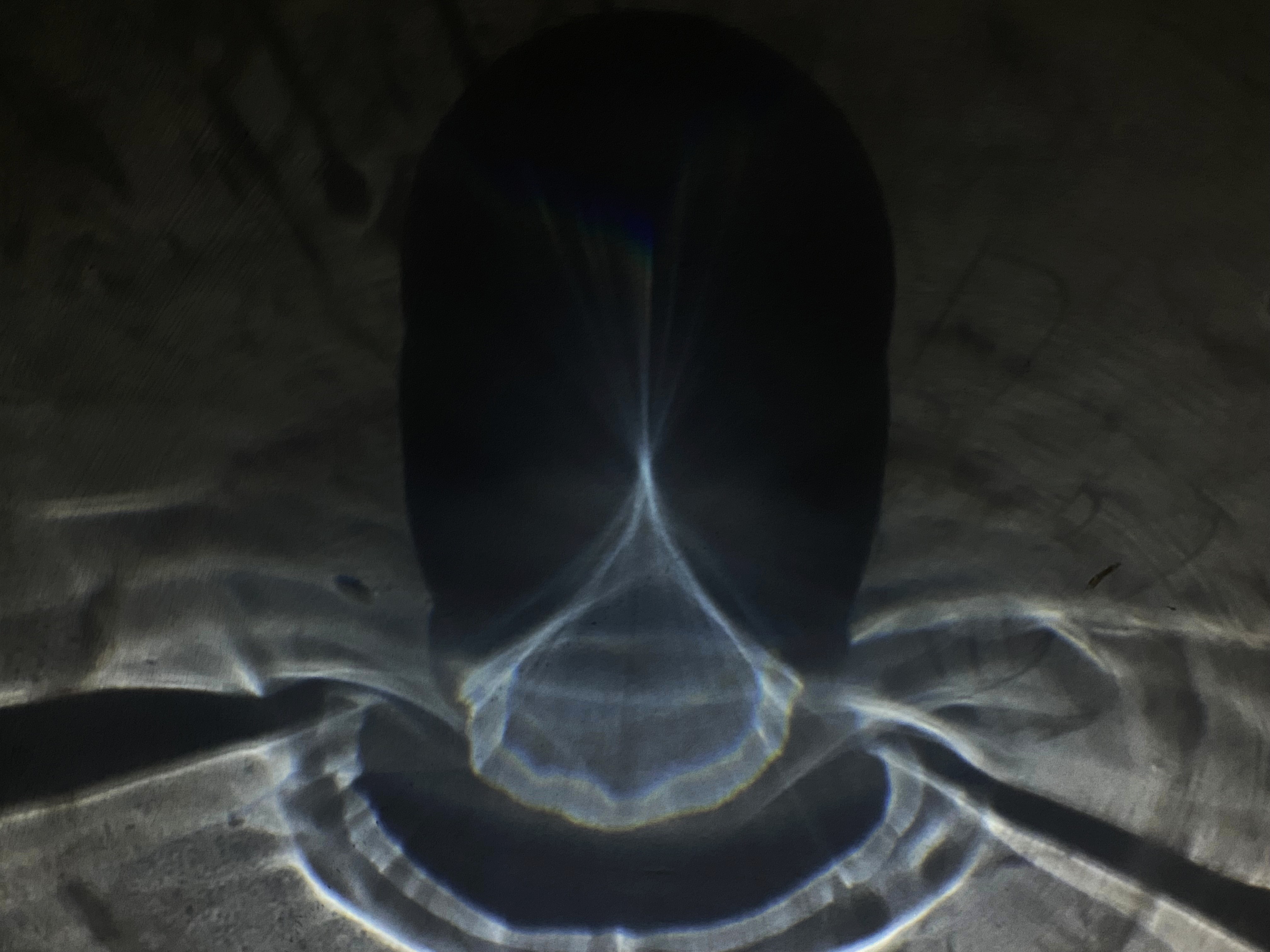 Portal #7