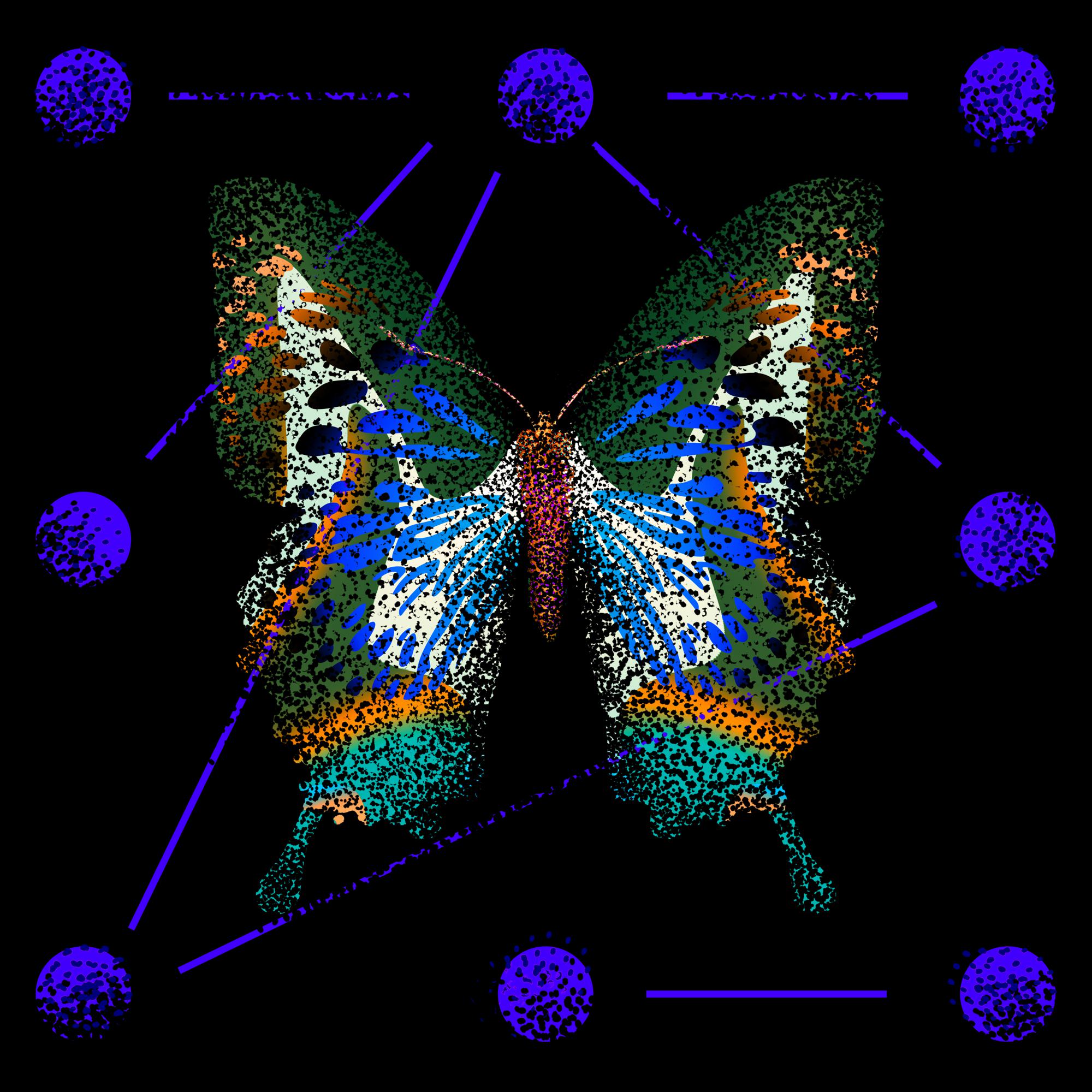 Monarch #531