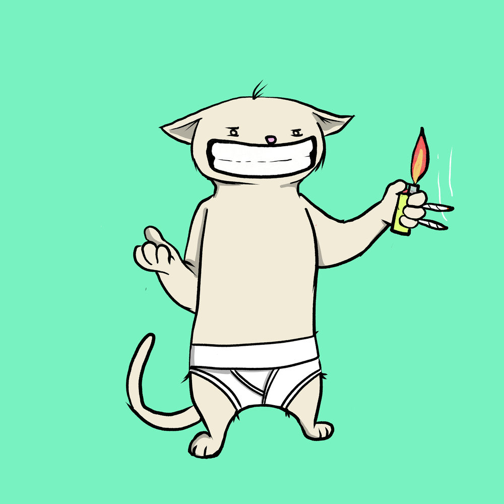 Blazed Cat #5166