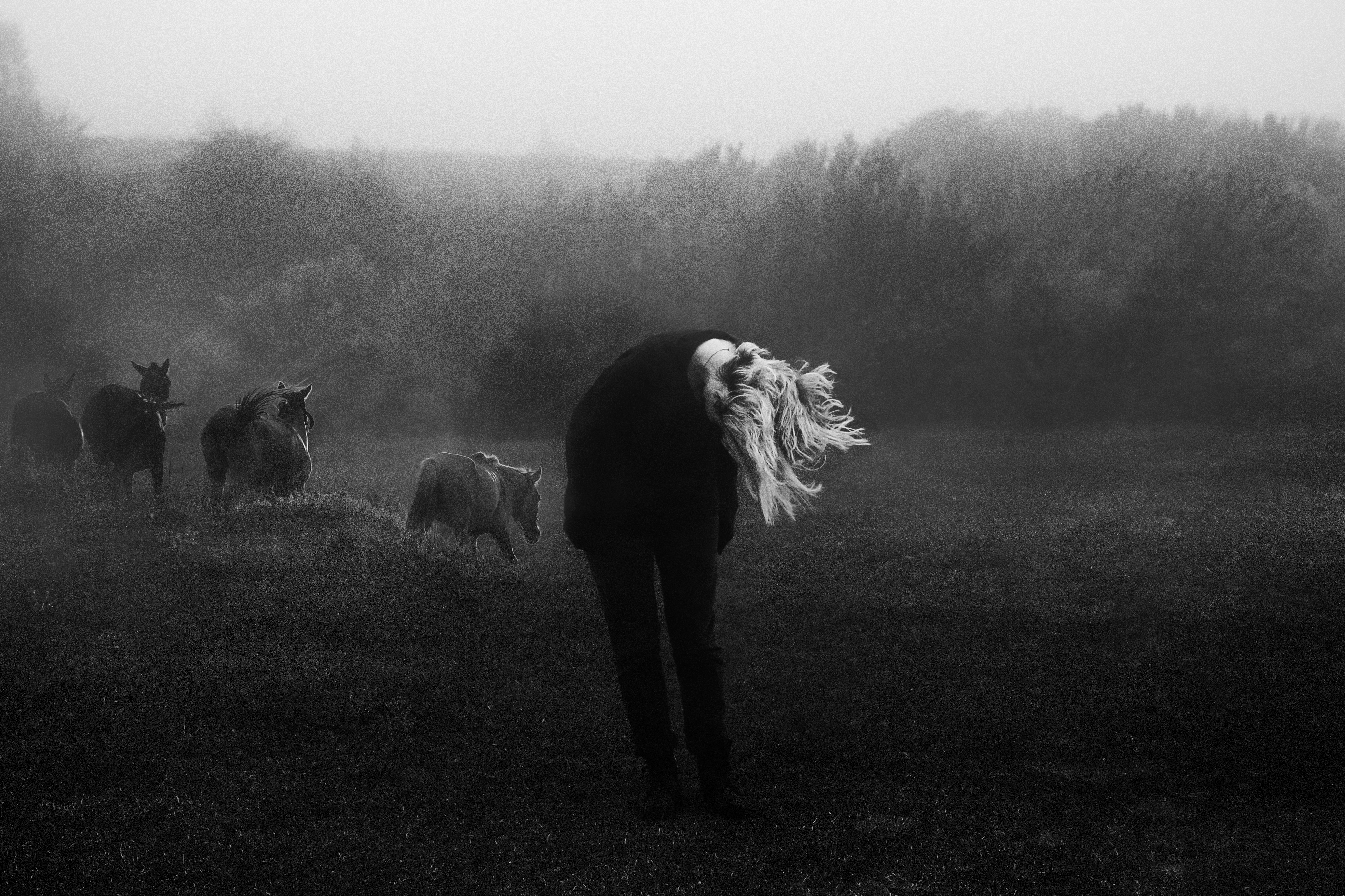 Requiem for a Dream