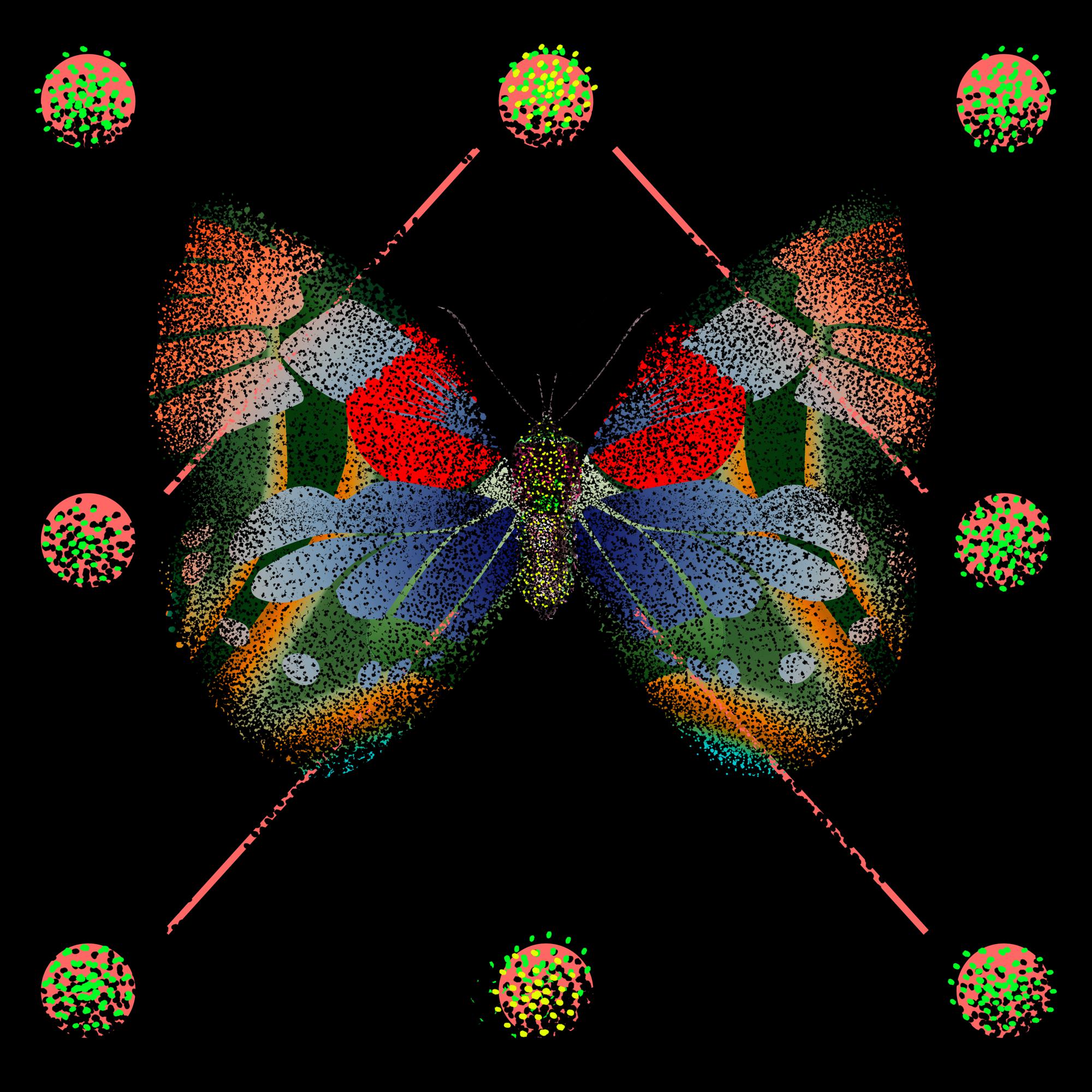 Monarch #802