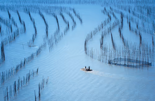 BLUE ROAD