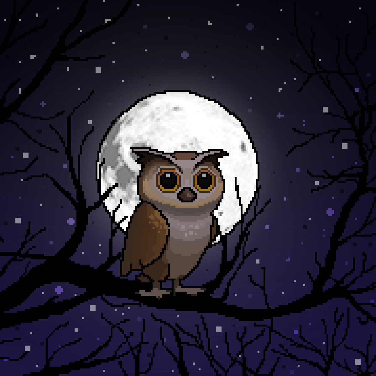 night vigilant
