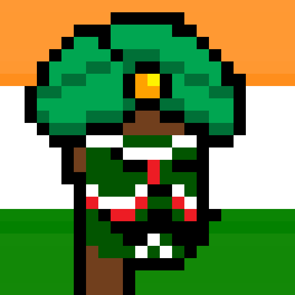 The Indian #5374