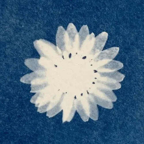 Flower #1