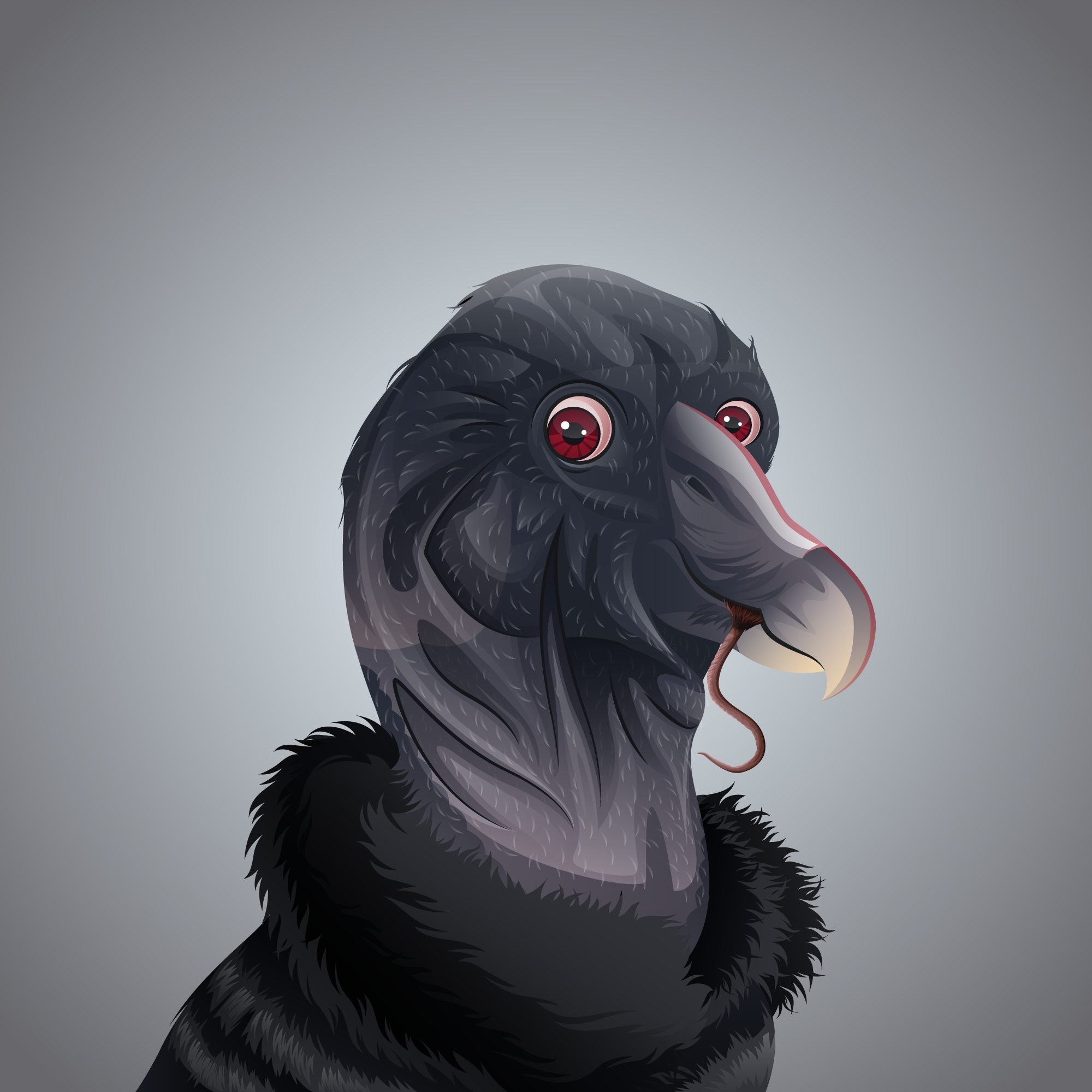 #1995 Condor