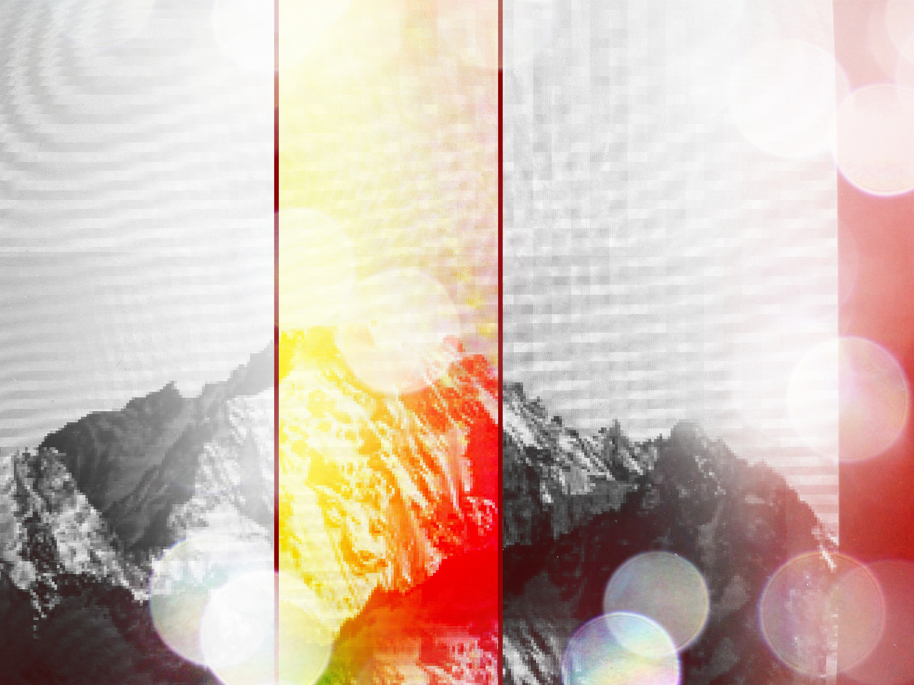 Range: Of Swiss Fort Knox #2