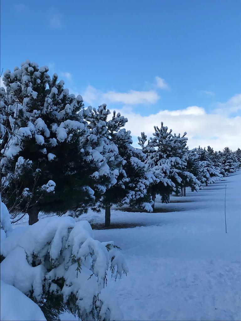 Snow