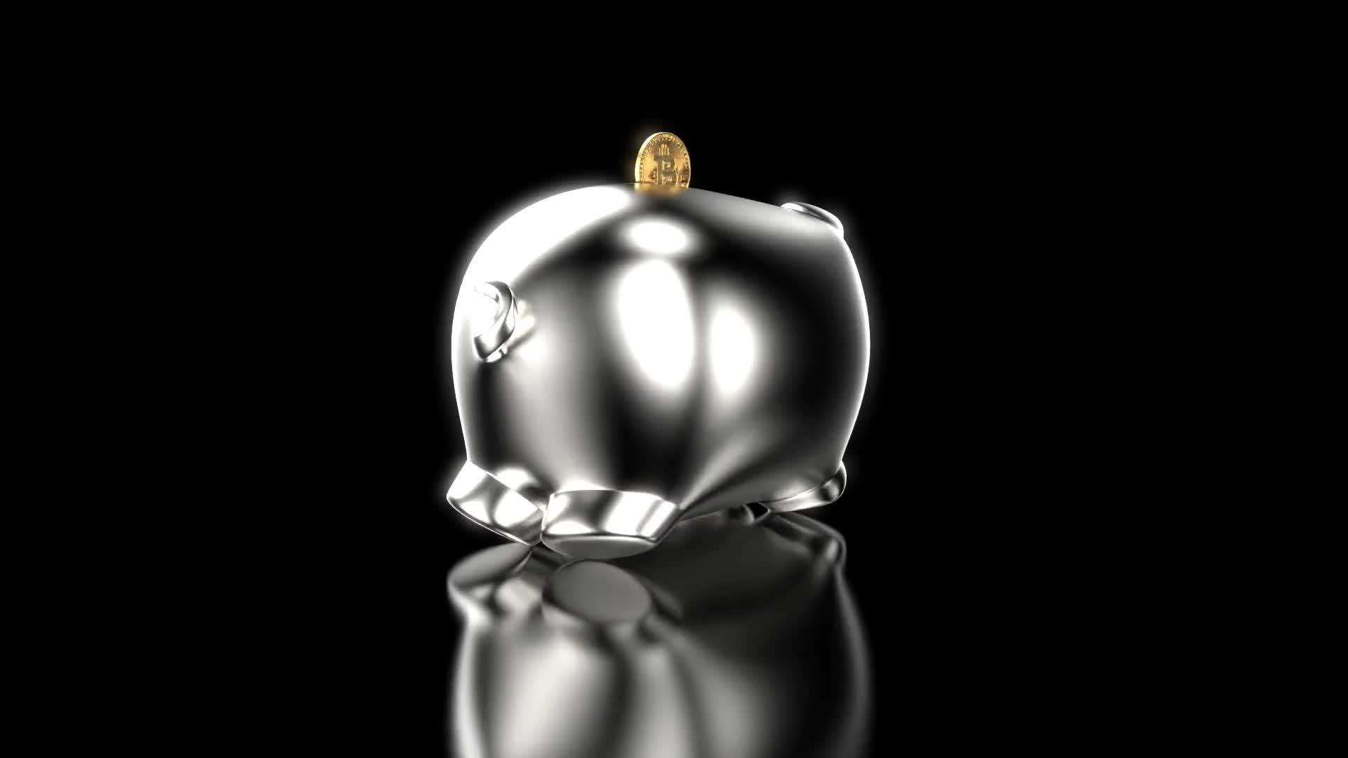 Silver Piggy #17/52