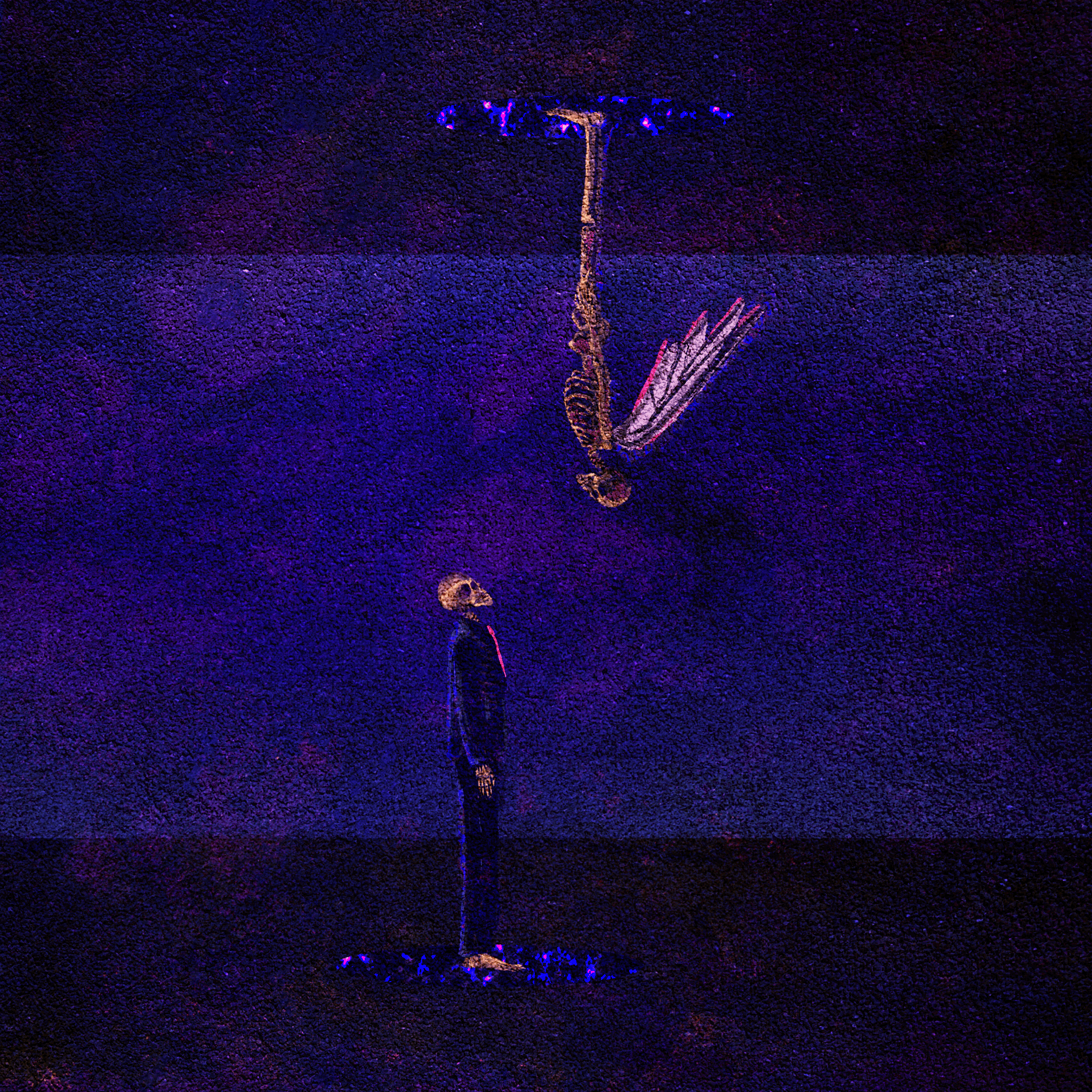 WINGS OF DESPAIR