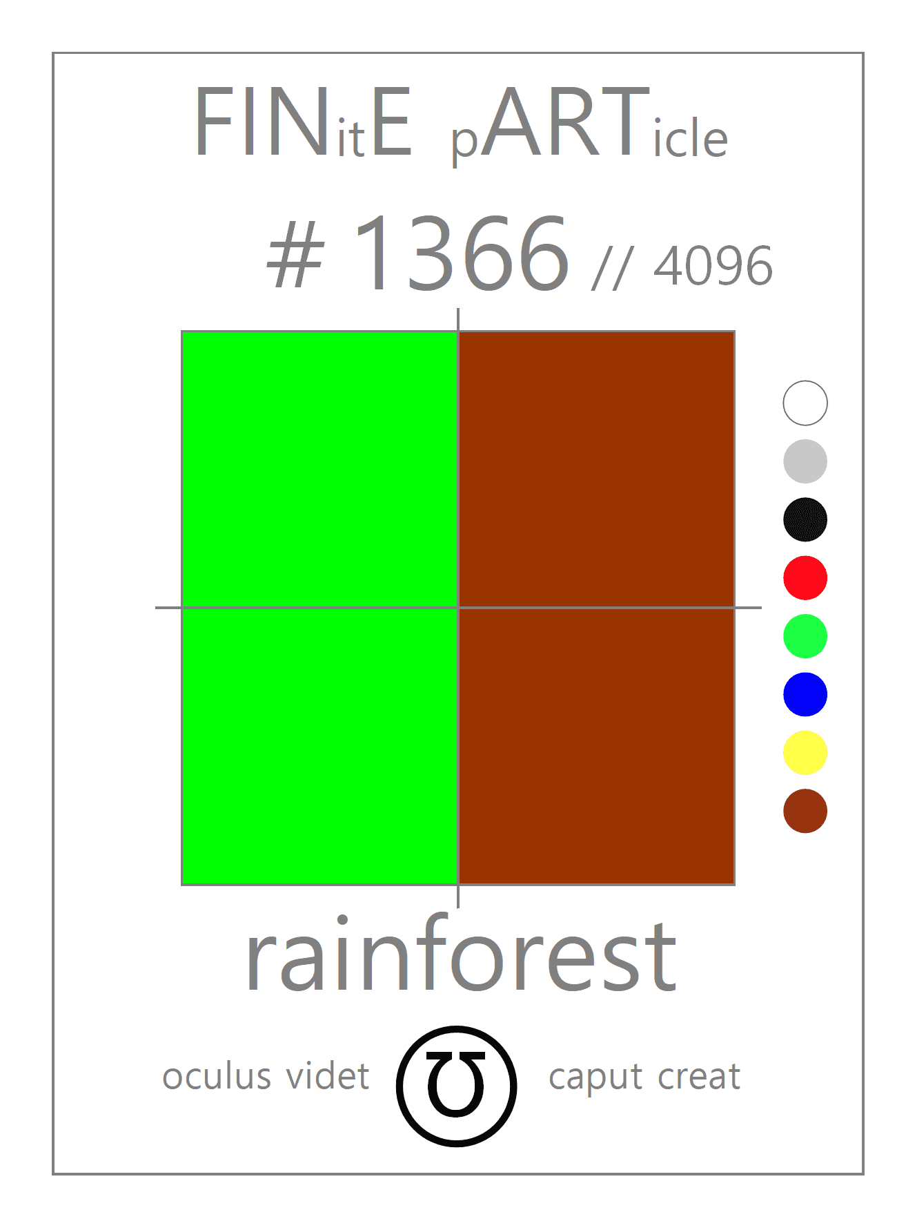 rainforest