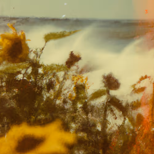 Tsunflower Chaos #71