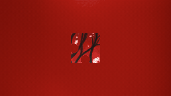 Fragment 16