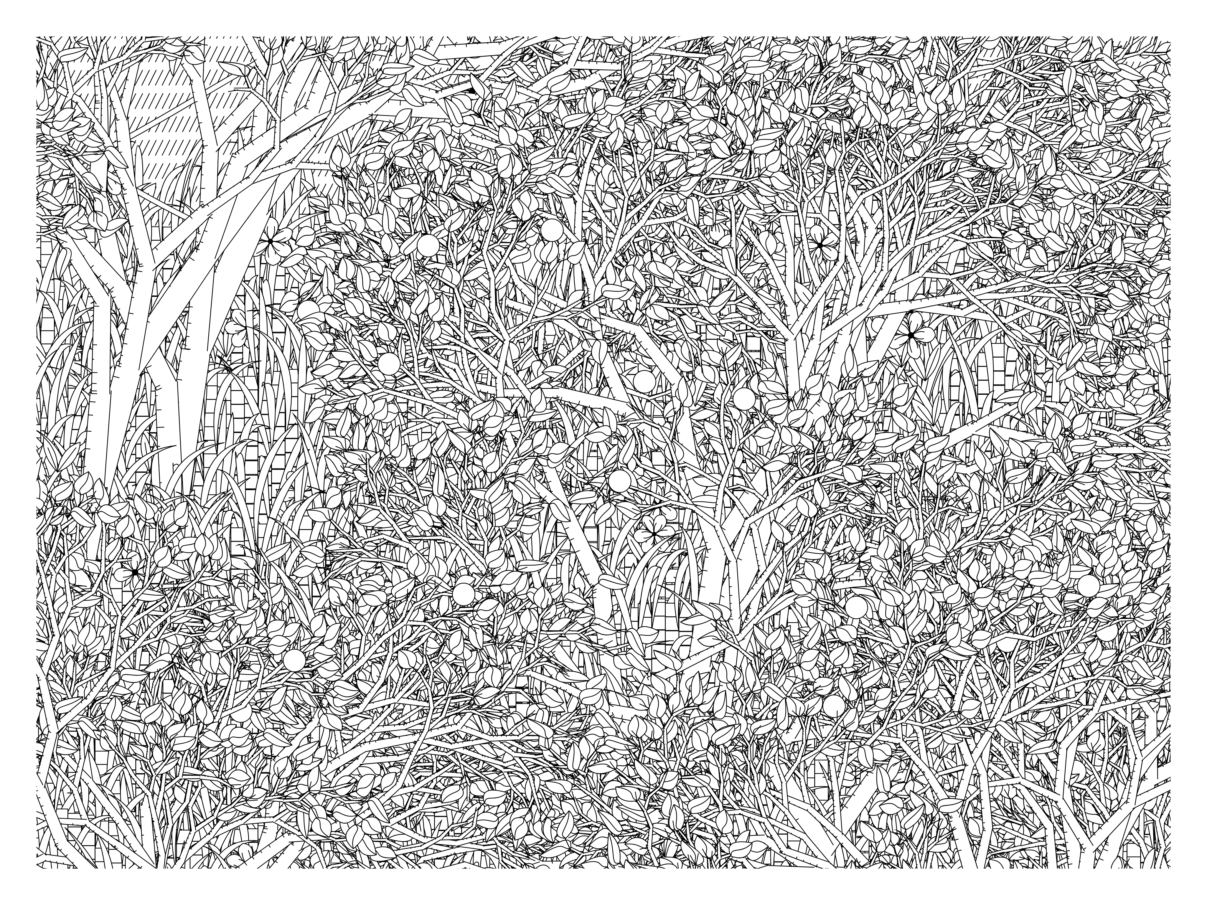 Entangled #257