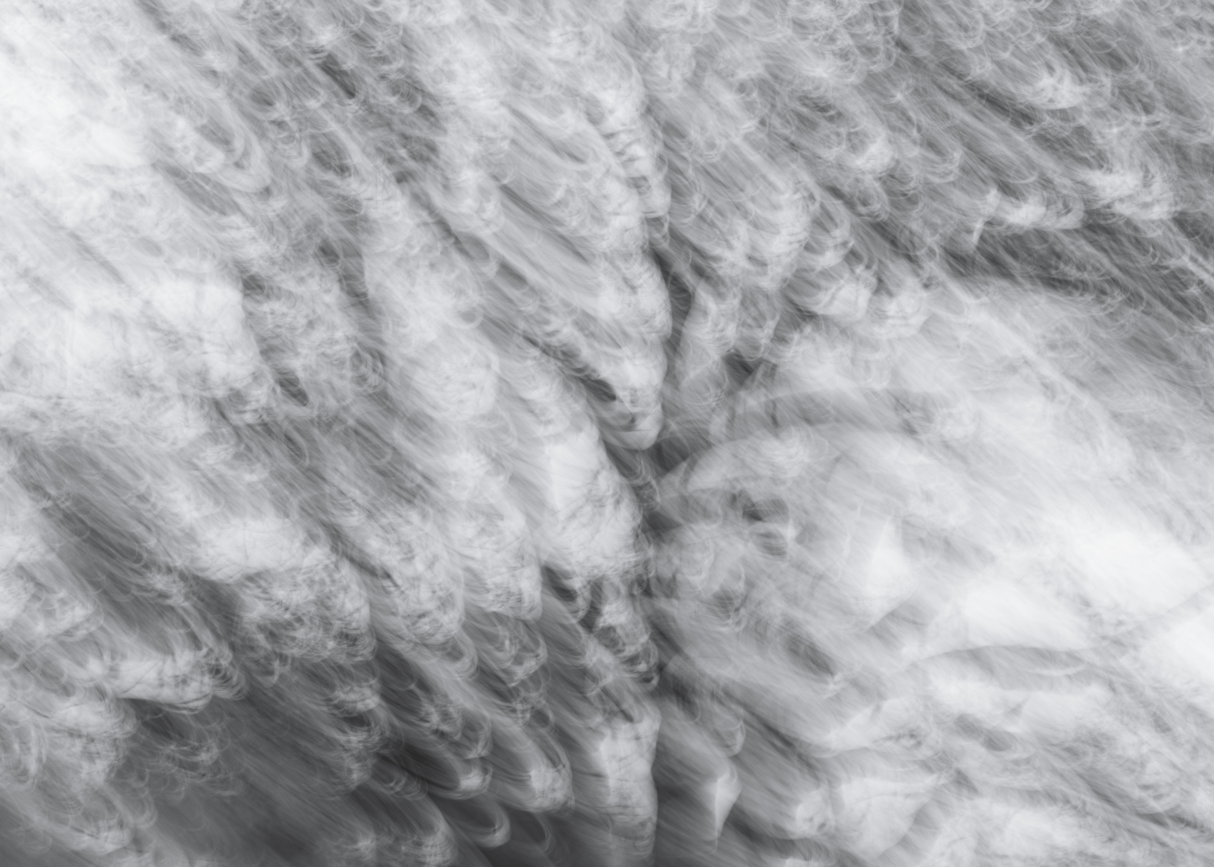 Disintegrate