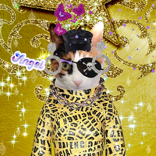 Toocool Dolander #3186
