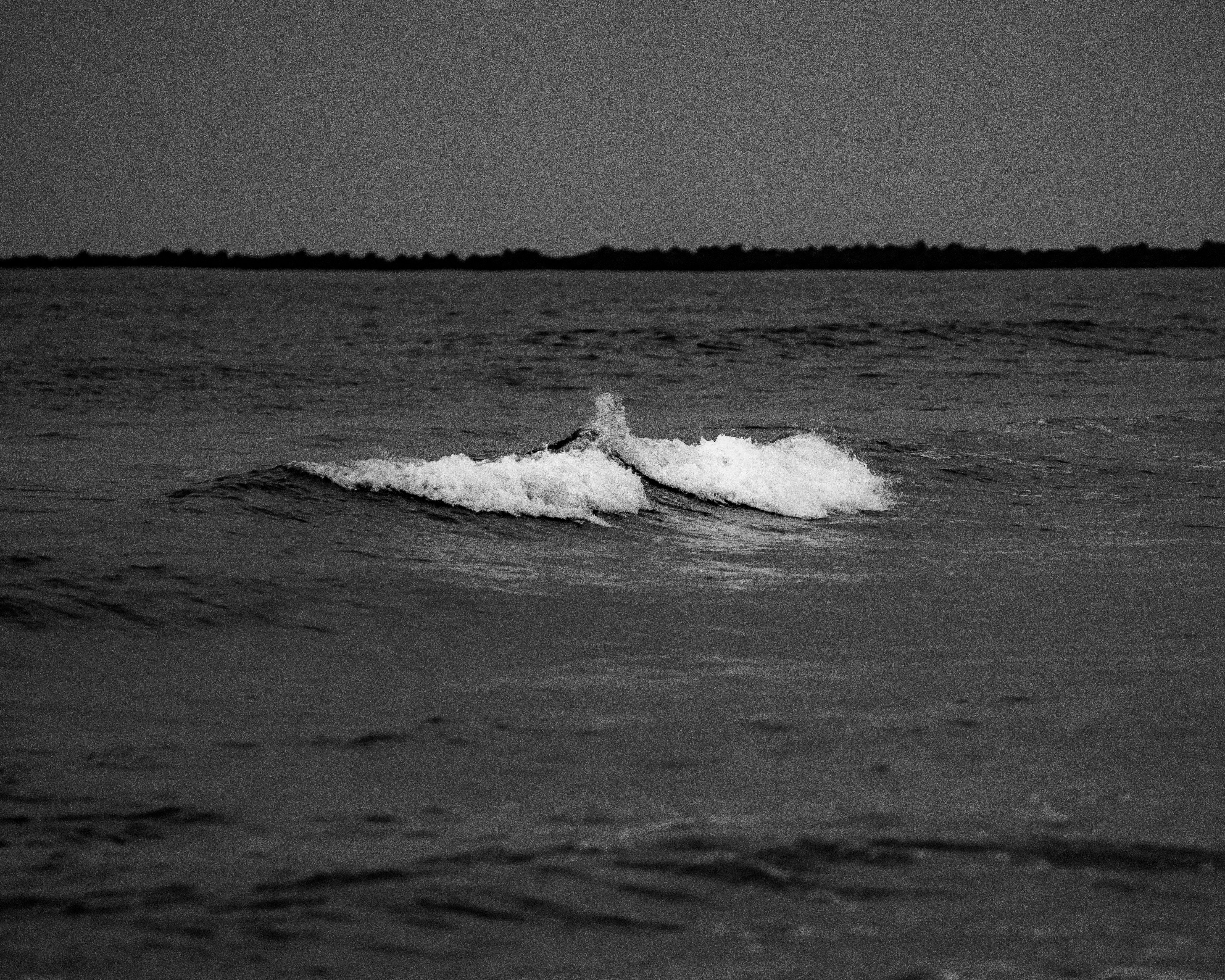 a token of appreciation - shaded shores