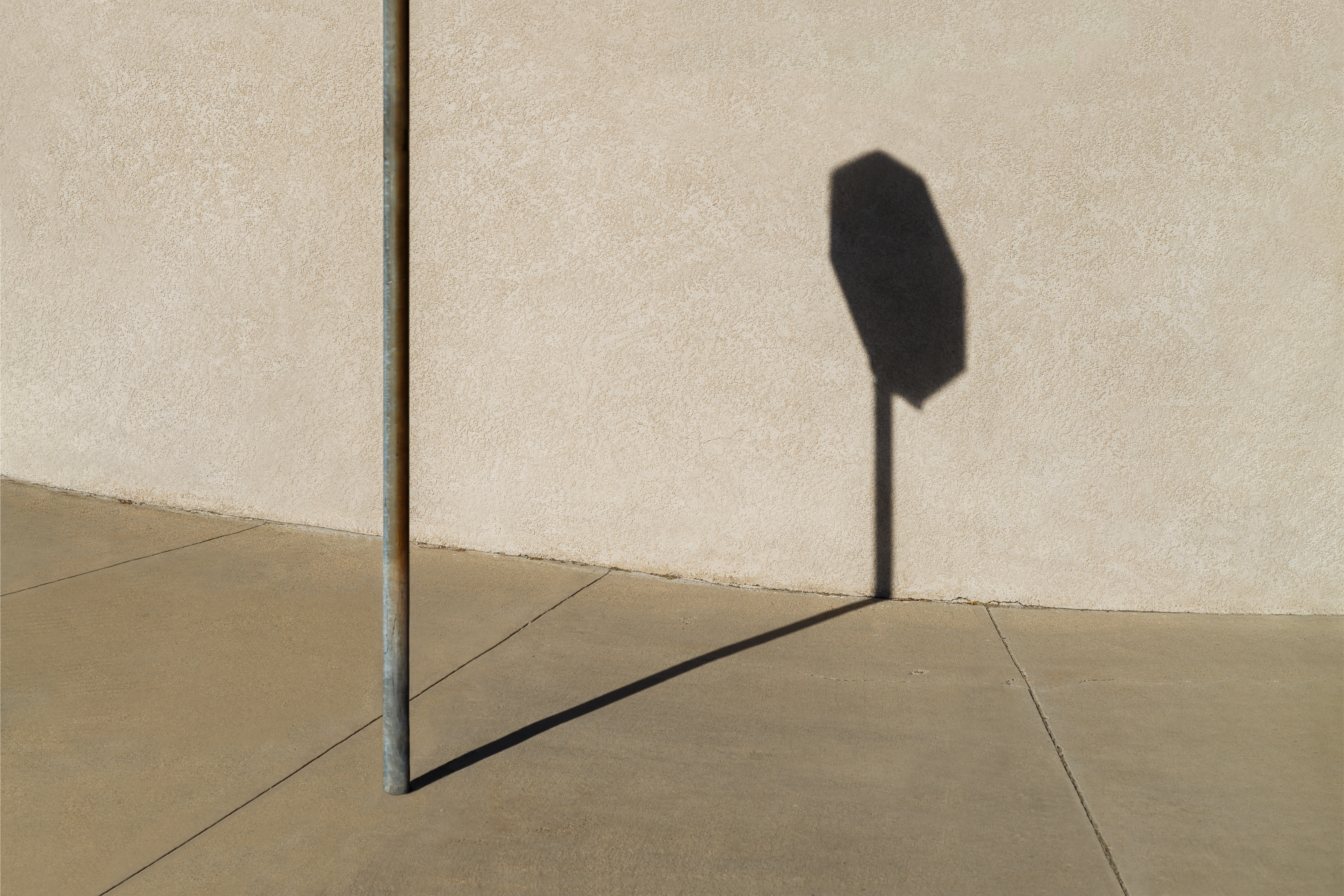 Shadow Self