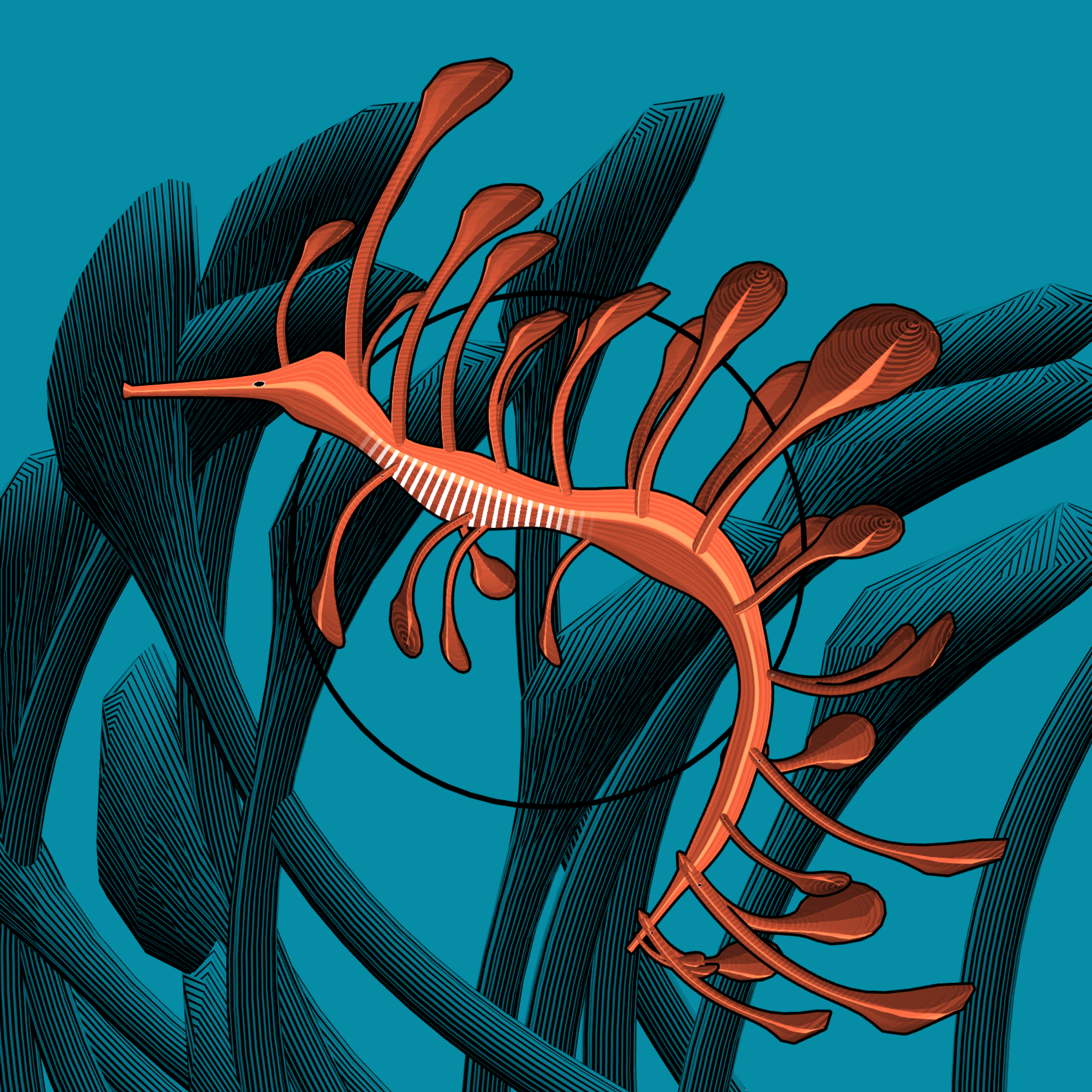 Seadragons #740