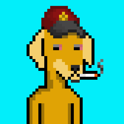 ViralataFunk #3890