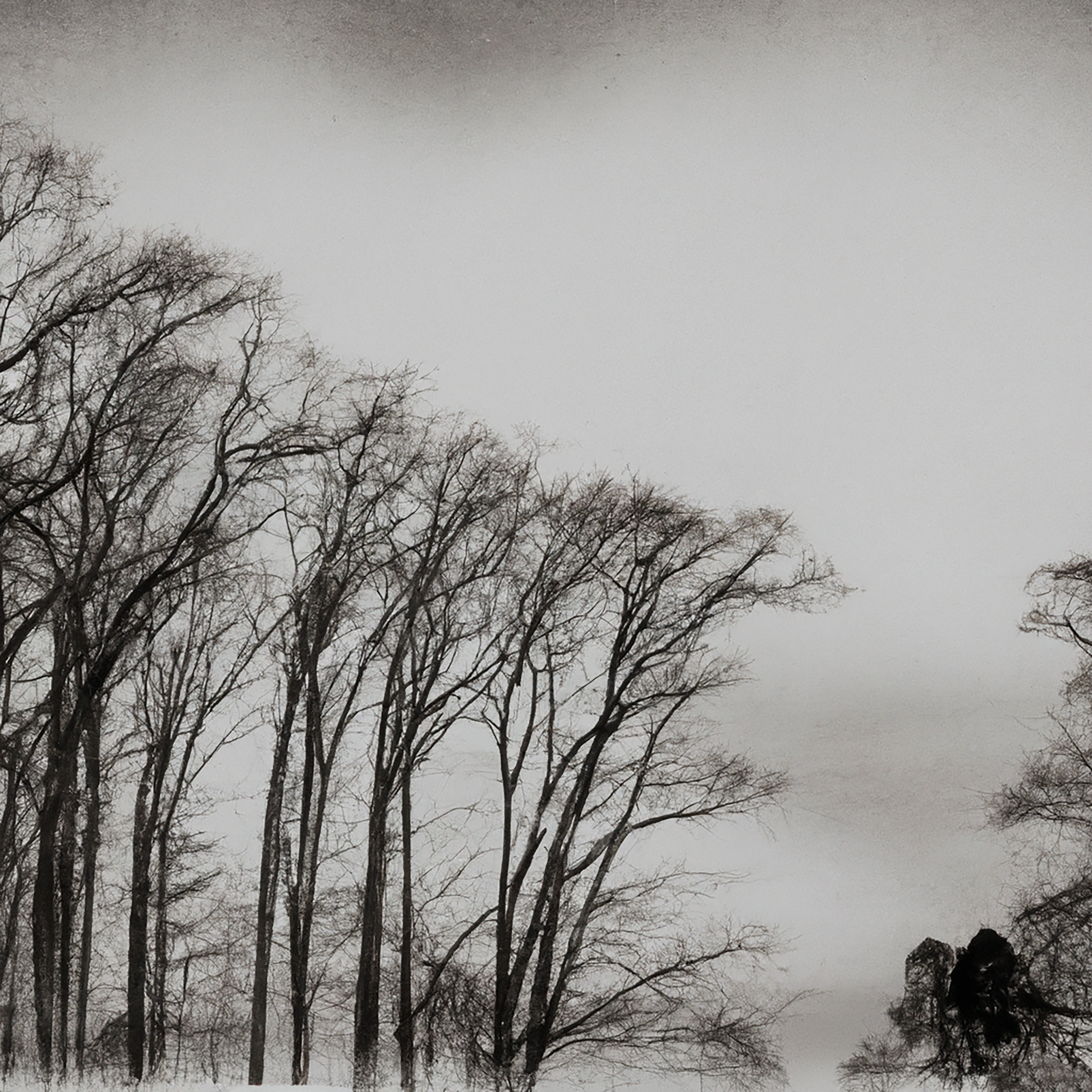 Hiver #60