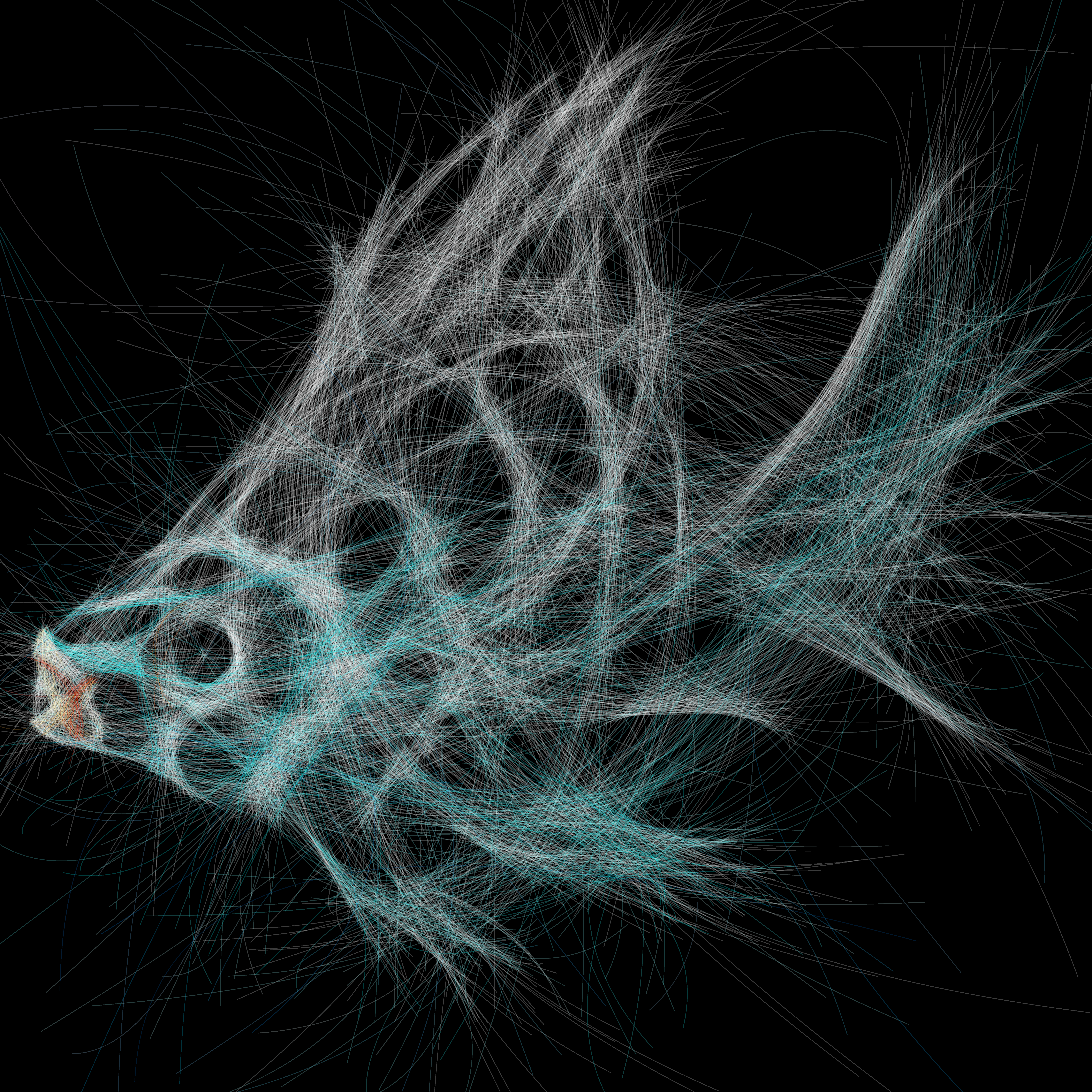 Underwater 5