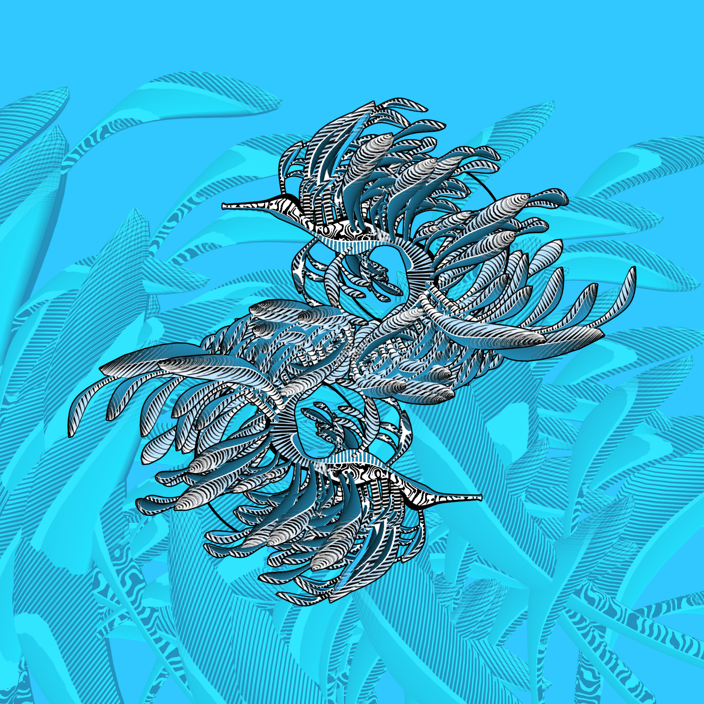 Seadragons #336