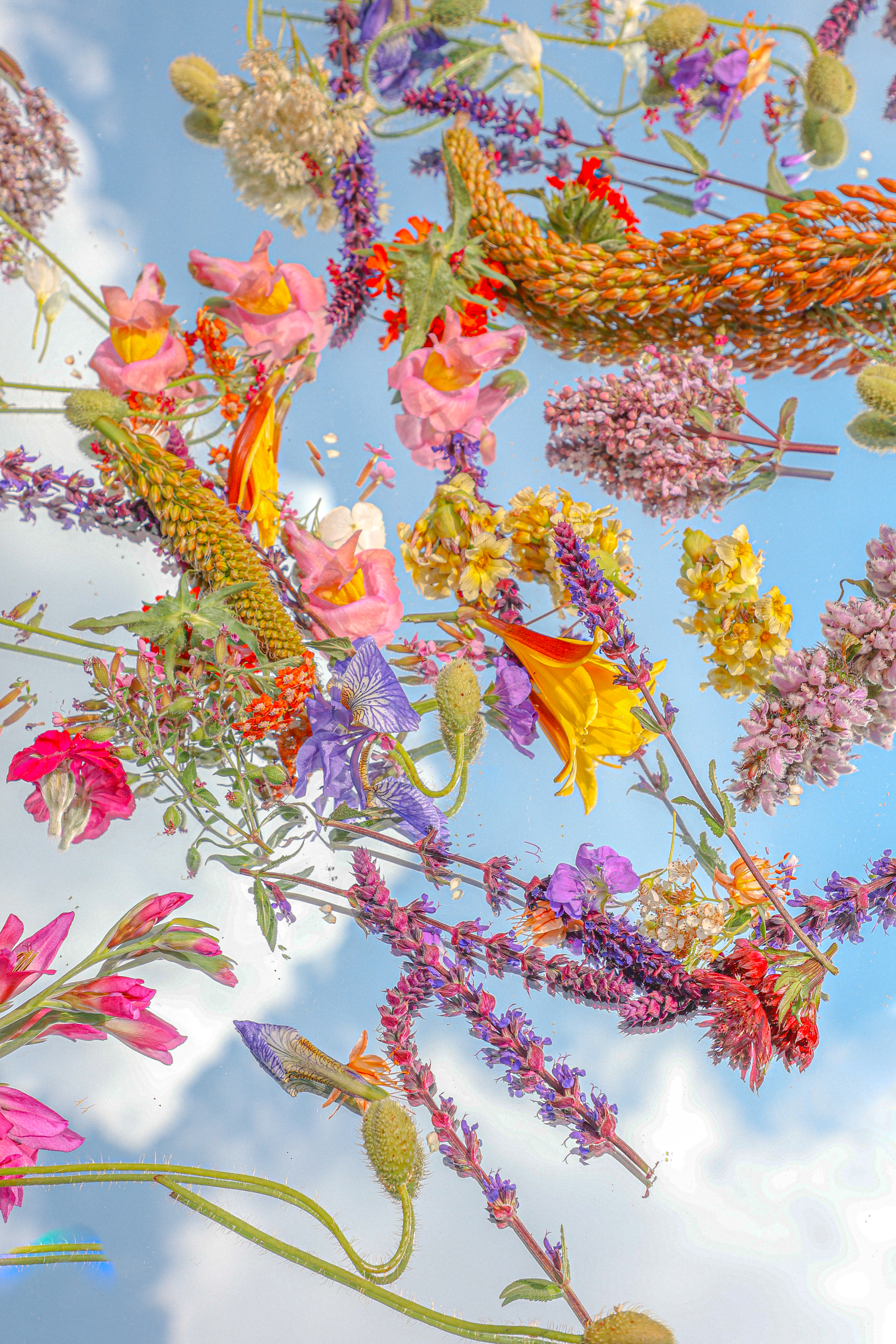 Floral Candy