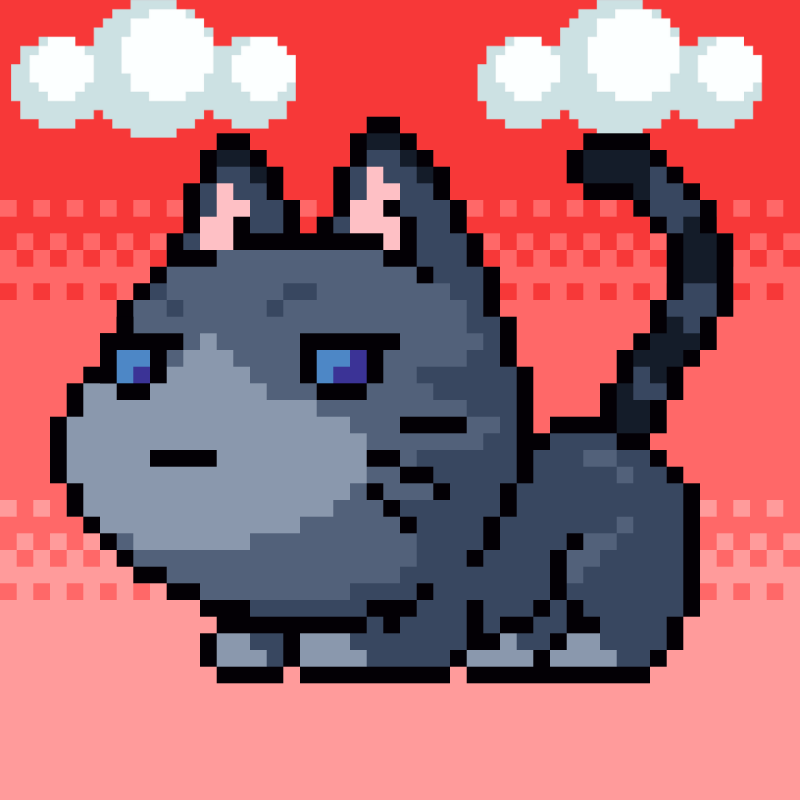 Catxoxo #2213