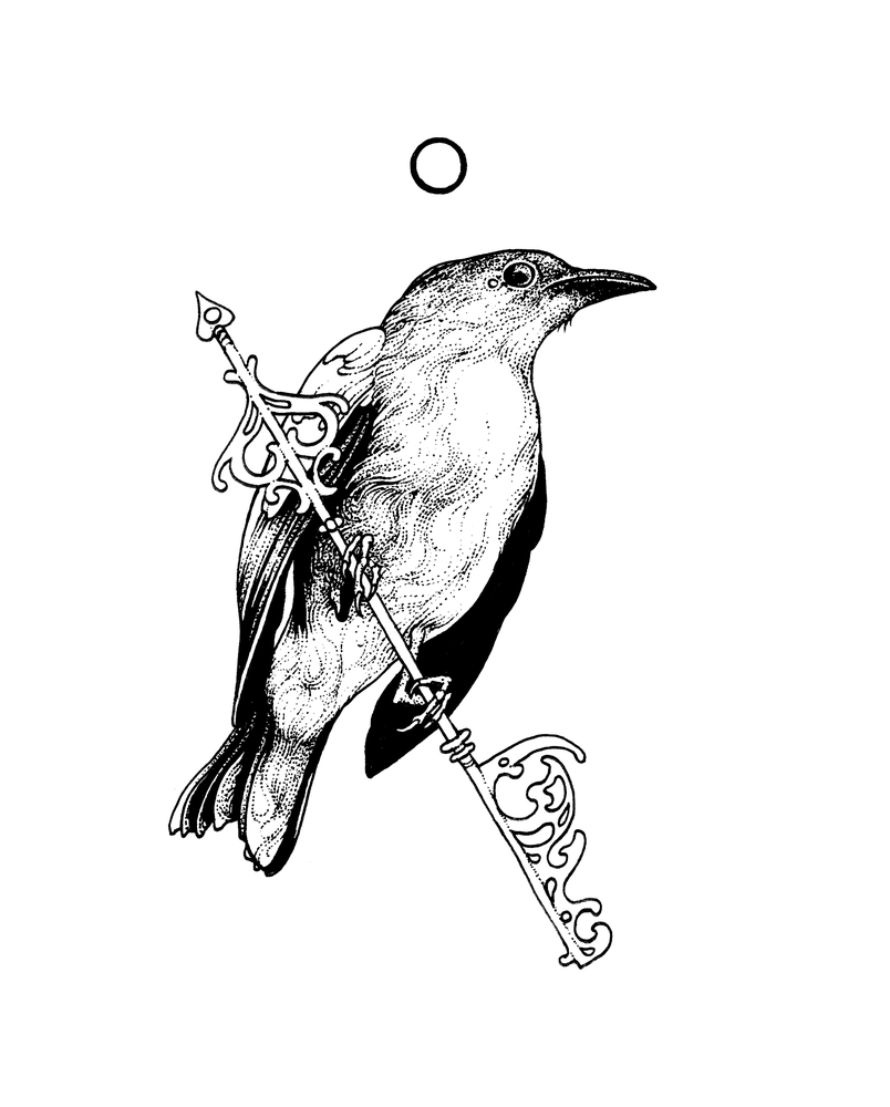 Bird
