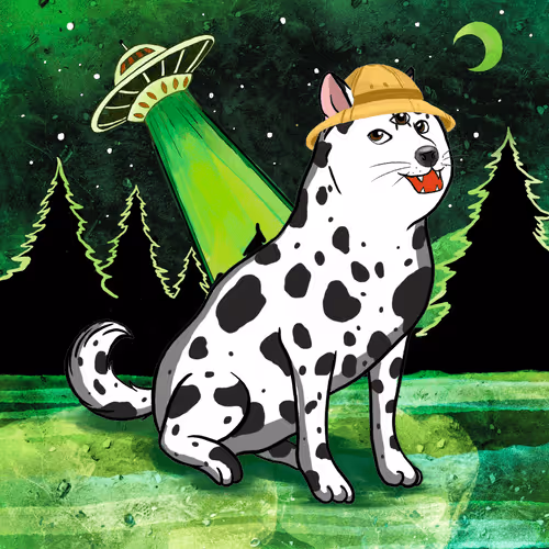 Doge #1050
