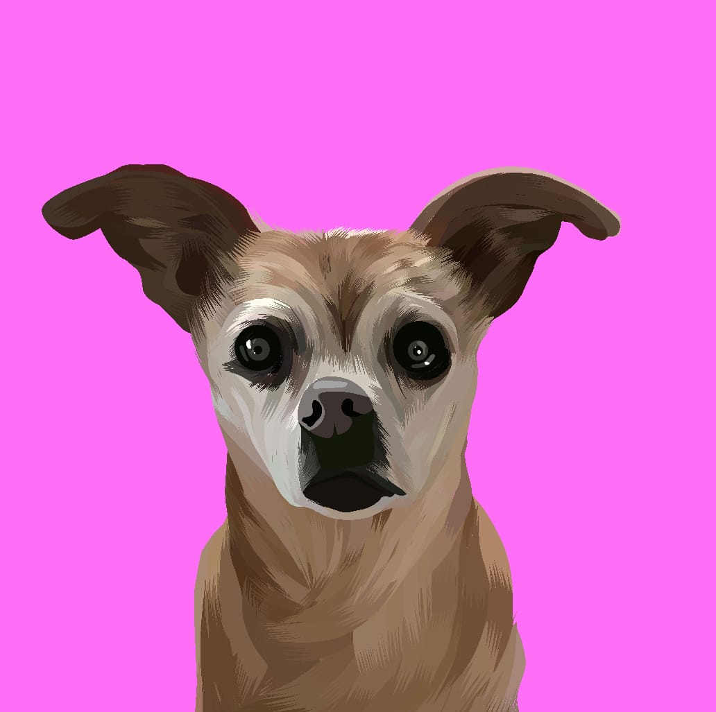 Dog #1