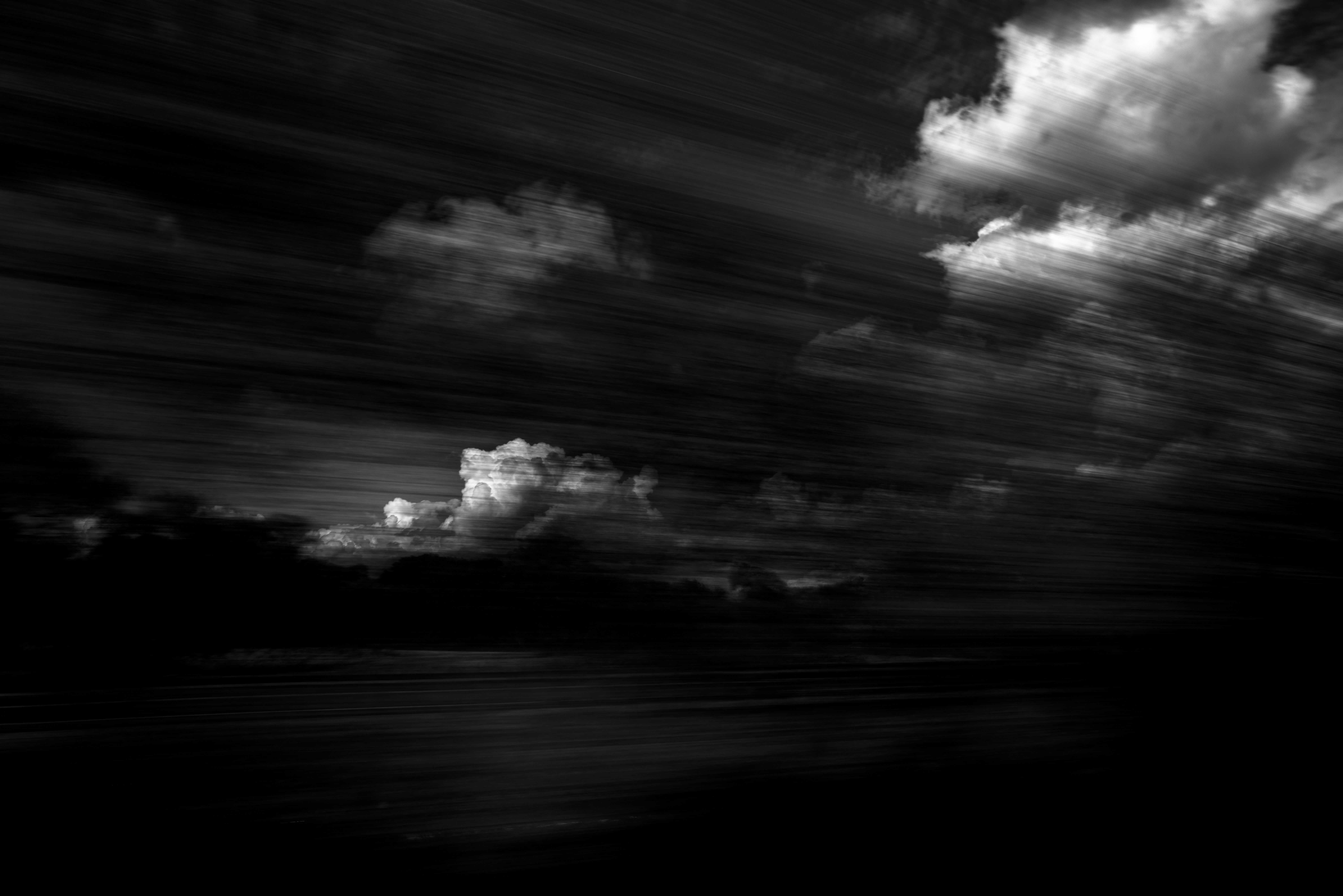 Tin Lizards Untitled #172