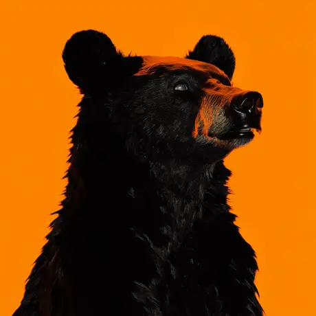 bear #109